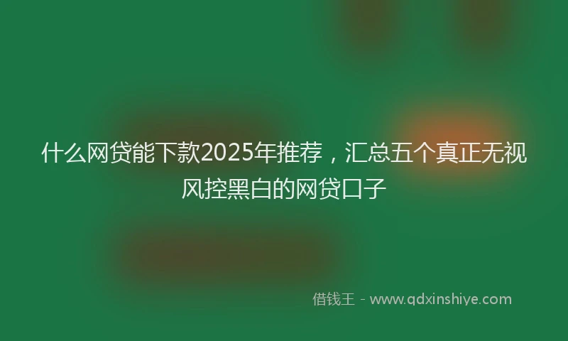 什么网贷能下款2025年推荐，汇总五个真正无视风控黑白的网贷口子