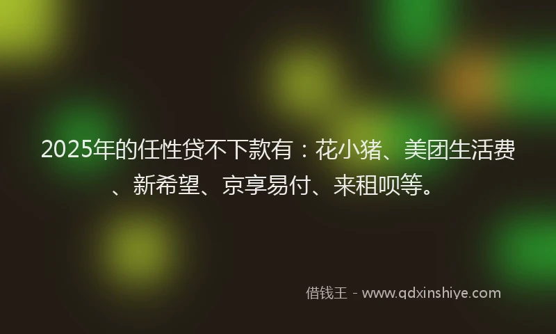 2025年的任性贷不下款有：花小猪、美团生活费、新希望、京享易付、来租呗等。