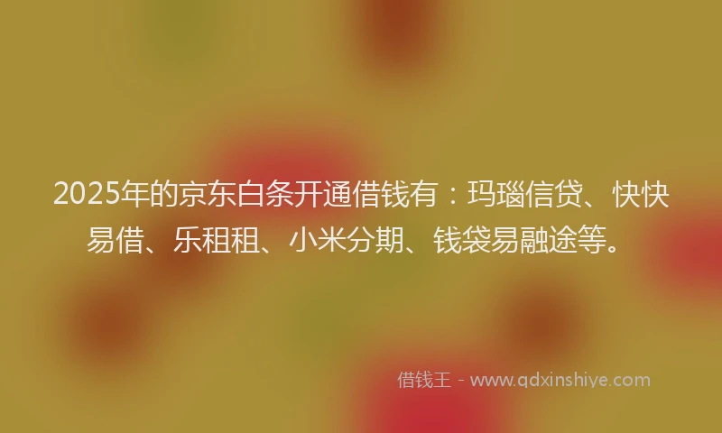 2025年的京东白条开通借钱有：玛瑙信贷、快快易借、乐租租、小米分期、钱袋易融途等。