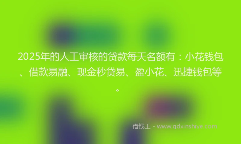 2025年的人工审核的贷款每天名额有：小花钱包、借款易融、现金秒贷易、盈小花、迅捷钱包等。