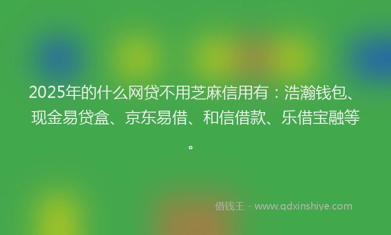 2025年的什么网贷不用芝麻信用有：浩瀚钱包、现金易贷盒、京东易借、和信借款、乐借宝融等。