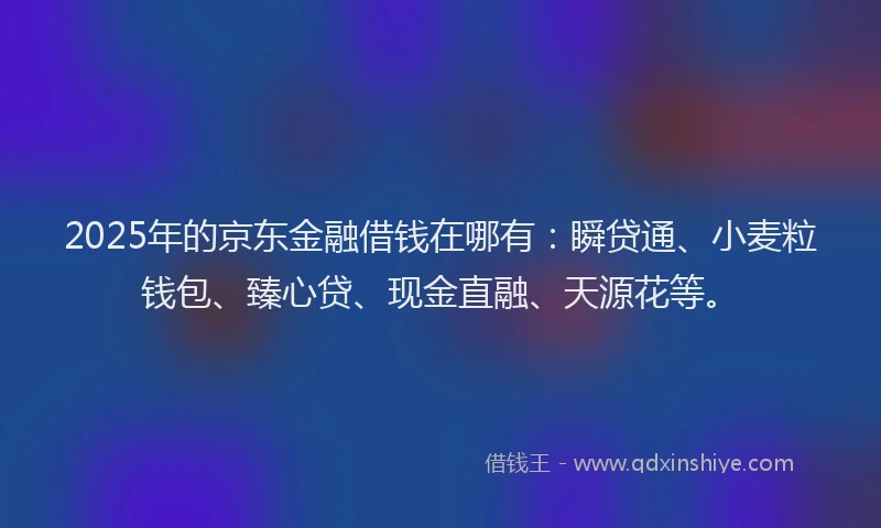2025年的京东金融借钱在哪有:瞬贷通、小麦粒钱包、臻心贷、现金直融、天源花等。