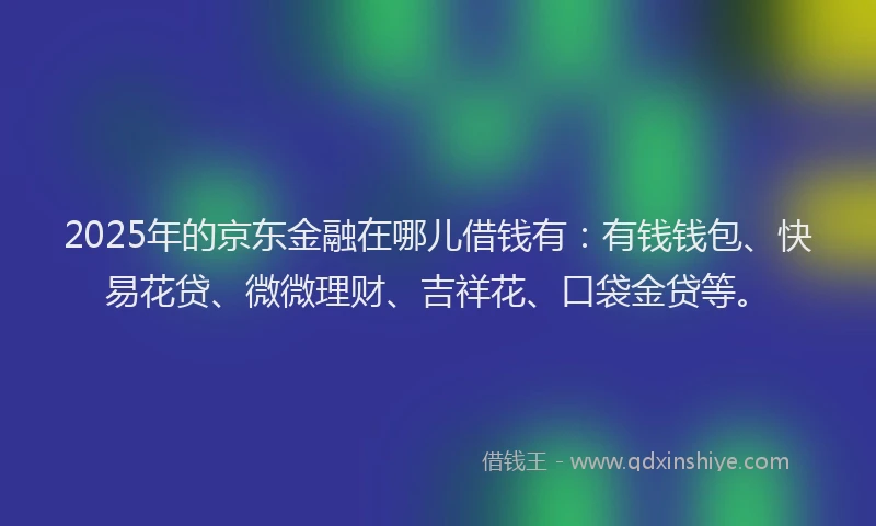 2025年的京东金融在哪儿借钱有：有钱钱包、快易花贷、微微理财、吉祥花、口袋金贷等。