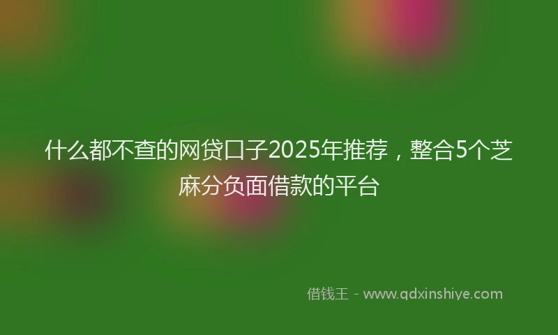 什么都不查的网贷口子2025年推荐，整合5个芝麻分负面借款的平台