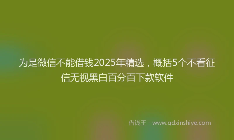 为是微信不能借钱2025年精选，概括5个不看征信无视黑白百分百下款软件