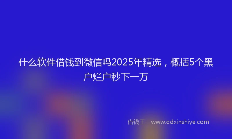 什么软件借钱到微信吗2025年精选，概括5个黑户烂户秒下一万
