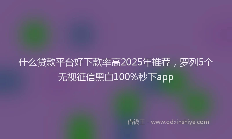 什么贷款平台好下款率高2025年推荐，罗列5个无视征信黑白100%秒下app