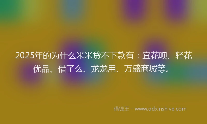 2025年的为什么米米贷不下款有：宜花呗、轻花优品、借了么、龙龙用、万盛商城等。