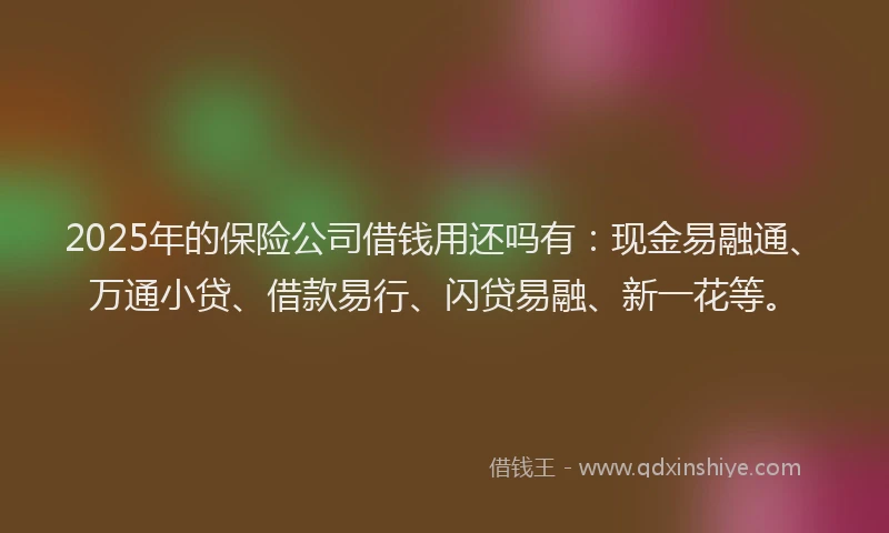 2025年的保险公司借钱用还吗有：现金易融通、万通小贷、借款易行、闪贷易融、新一花等。
