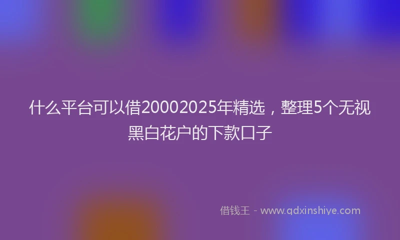什么平台可以借20002025年精选，整理5个无视黑白花户的下款口子