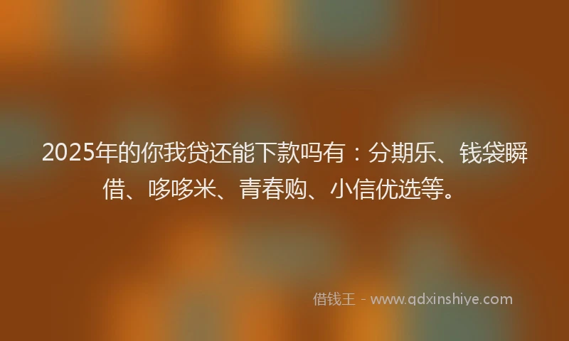 2025年的你我贷还能下款吗有：分期乐、钱袋瞬借、哆哆米、青春购、小信优选等。