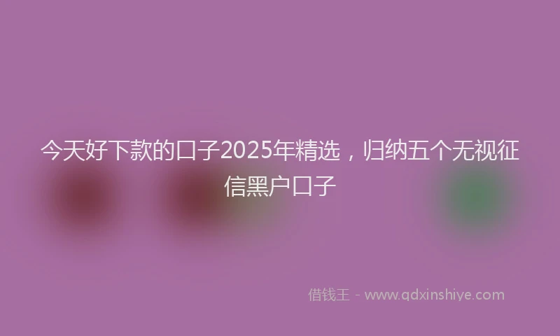今天好下款的口子2025年精选，归纳五个无视征信黑户口子