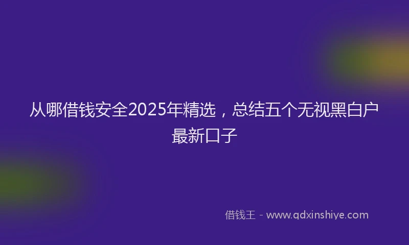 从哪借钱安全2025年精选,总结五个无视黑白户最新口子