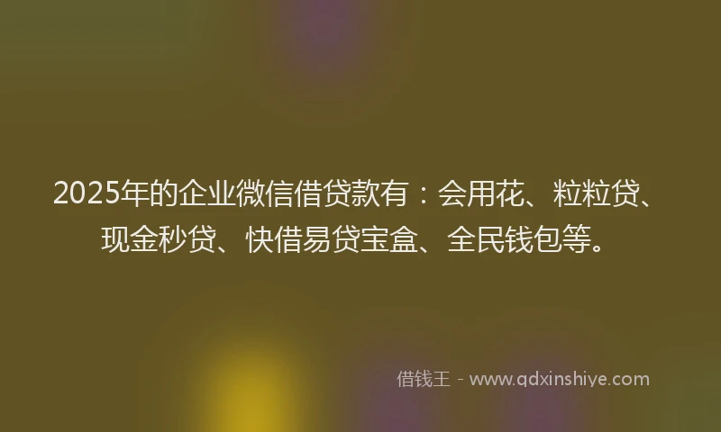 2025年的企业微信借贷款有：会用花、粒粒贷、现金秒贷、快借易贷宝盒、全民钱包等。