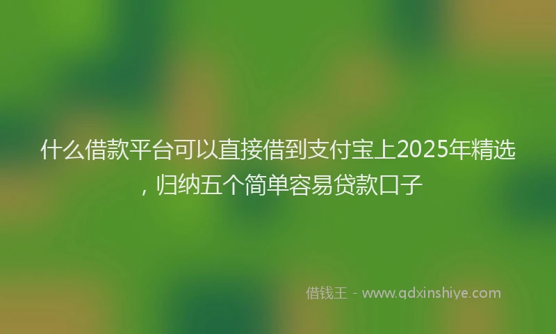 什么借款平台可以直接借到支付宝上2025年精选，归纳五个简单容易贷款口子