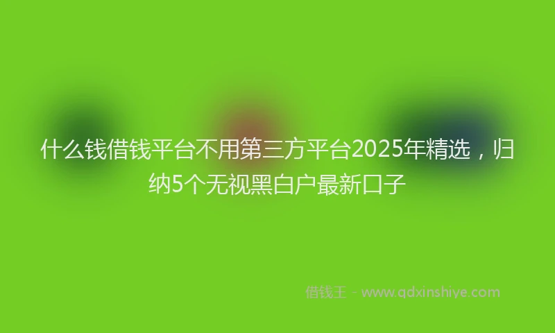 什么钱借钱平台不用第三方平台2025年精选,归纳5个无视黑白户最新口子