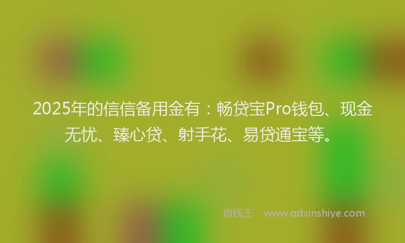 2025年的信信备用金有：畅贷宝Pro钱包、现金无忧、臻心贷、射手花、易贷通宝等。