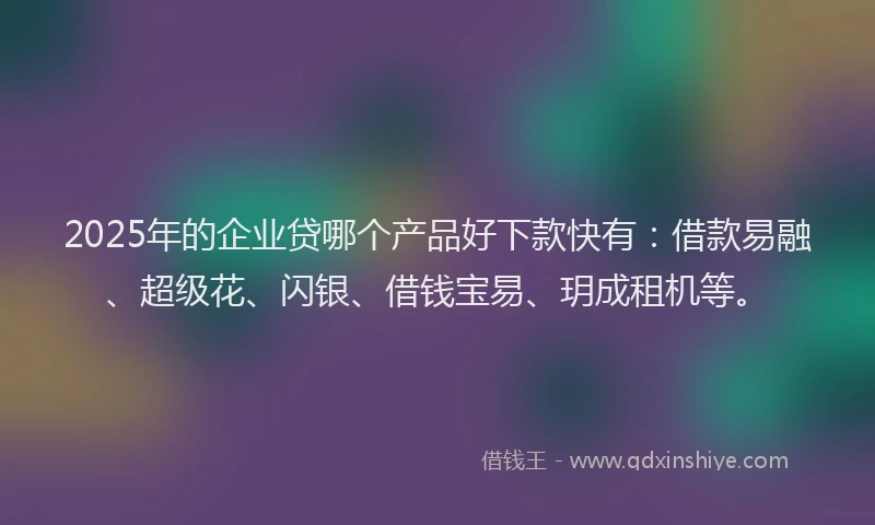 2025年的企业贷哪个产品好下款快有：借款易融、超级花、闪银、借钱宝易、玥成租机等。