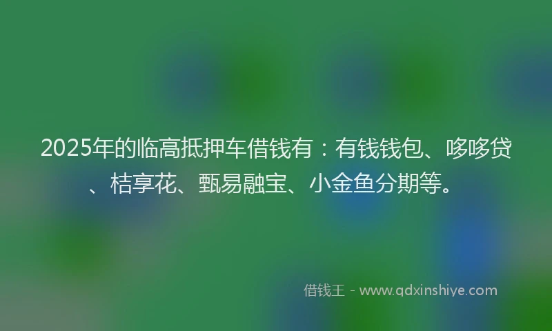 2025年的临高抵押车借钱有:有钱钱包、哆哆贷、桔享花、甄易融宝、小金鱼分期等。