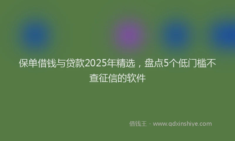 保单借钱与贷款2025年精选，盘点5个低门槛不查征信的软件