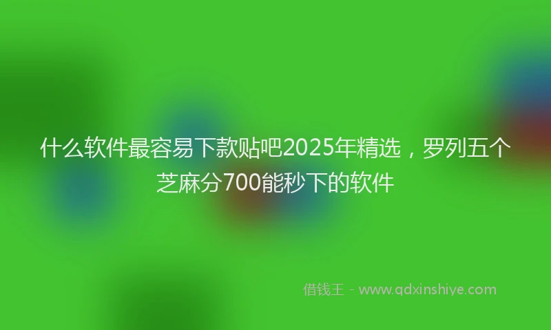什么软件最容易下款贴吧2025年精选，罗列五个芝麻分700能秒下的软件