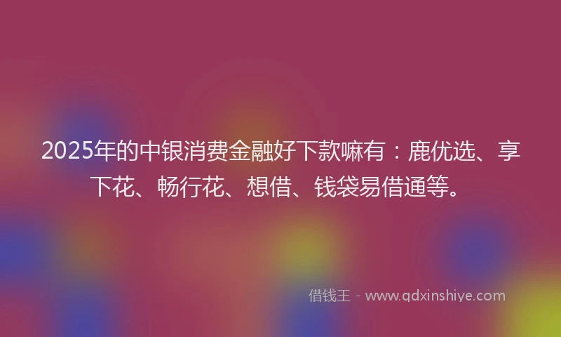 2025年的中银消费金融好下款嘛有：鹿优选、享下花、畅行花、想借、钱袋易借通等。