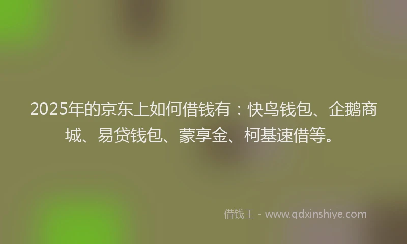 2025年的京东上如何借钱有：快鸟钱包、企鹅商城、易贷钱包、蒙享金、柯基速借等。