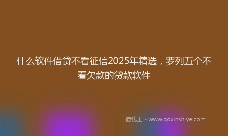 什么软件借贷不看征信2025年精选，罗列五个不看欠款的贷款软件