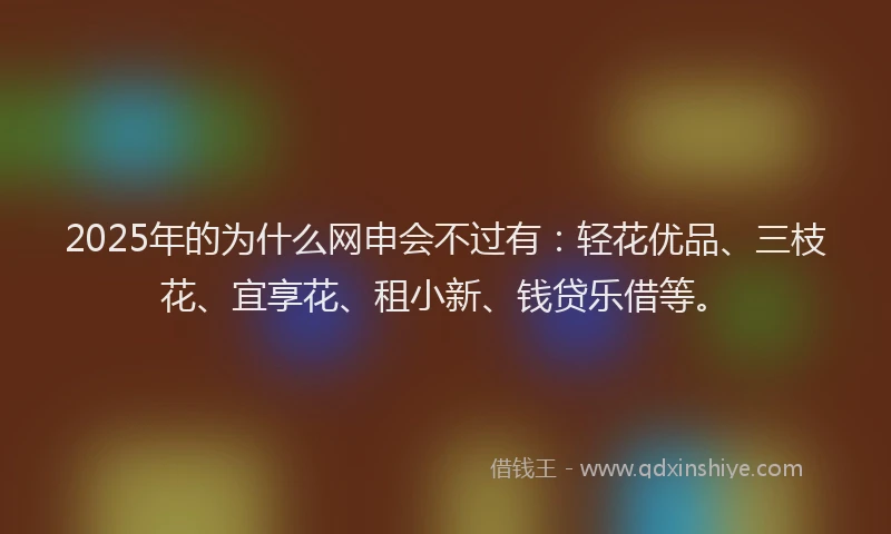 2025年的为什么网申会不过有：轻花优品、三枝花、宜享花、租小新、钱贷乐借等。
