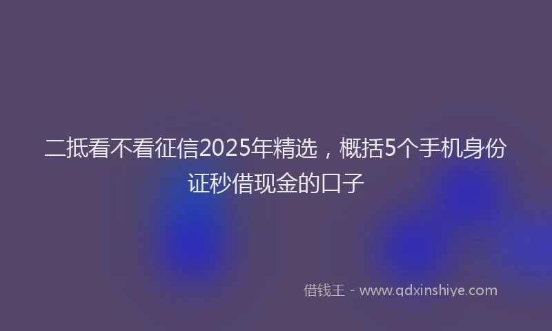 二抵看不看征信2025年精选，概括5个手机身份证秒借现金的口子