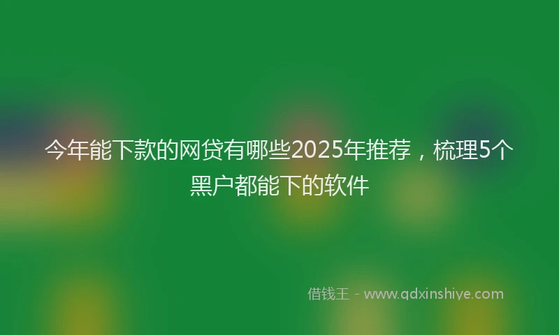 今年能下款的网贷有哪些2025年推荐,梳理5个黑户都能下的软件