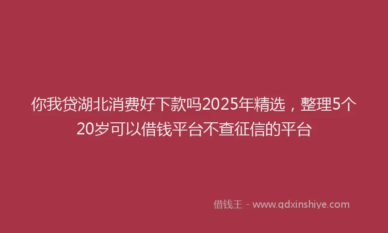 你我贷湖北消费好下款吗2025年精选，整理5个20岁可以借钱平台不查征信的平台