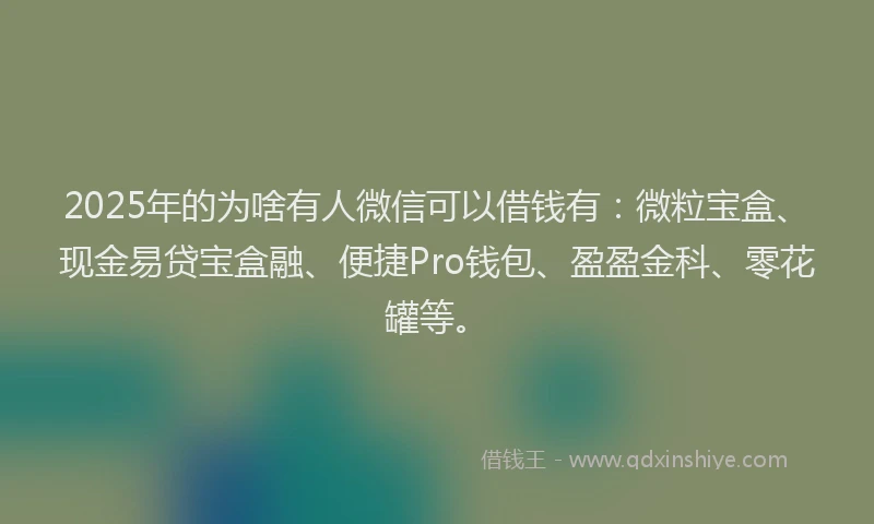 2025年的为啥有人微信可以借钱有：微粒宝盒、现金易贷宝盒融、便捷Pro钱包、盈盈金科、零花罐等。