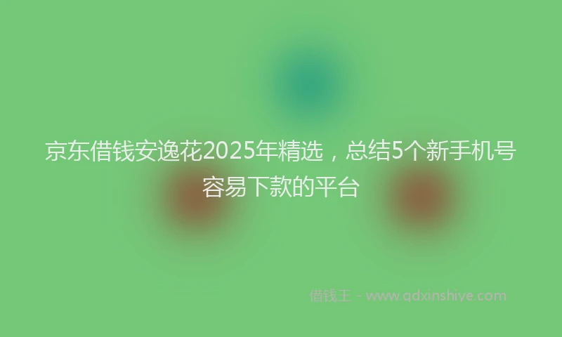 京东借钱安逸花2025年精选，总结5个新手机号容易下款的平台