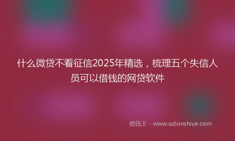 什么微贷不看征信2025年精选，梳理五个失信人员可以借钱的网贷软件