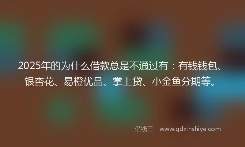 2025年的为什么借款总是不通过有：有钱钱包、银杏花、易橙优品、掌上贷、小金鱼分期等。