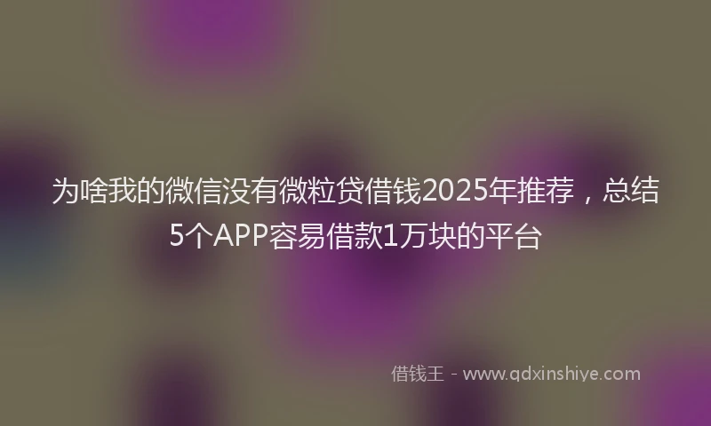 为啥我的微信没有微粒贷借钱2025年推荐,总结5个APP容易借款1万块的平台
