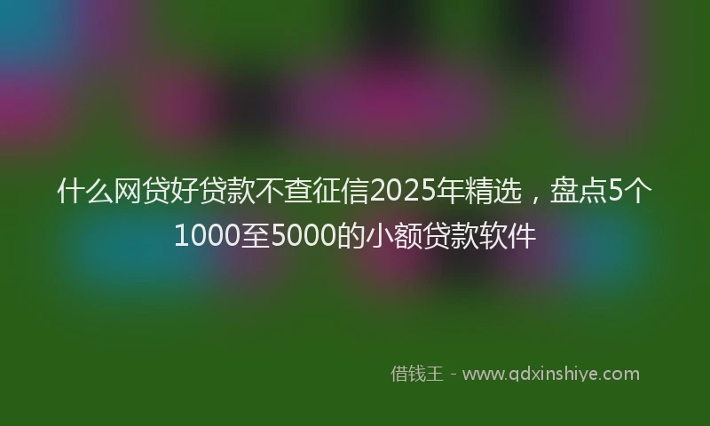 什么网贷好贷款不查征信2025年精选，盘点5个1000至5000的小额贷款软件