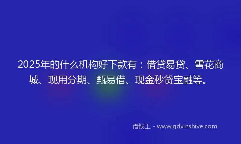 2025年的什么机构好下款有：借贷易贷、雪花商城、现用分期、甄易借、现金秒贷宝融等。