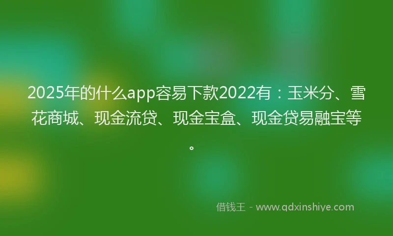 2025年的什么app容易下款2022有：玉米分、雪花商城、现金流贷、现金宝盒、现金贷易融宝等。