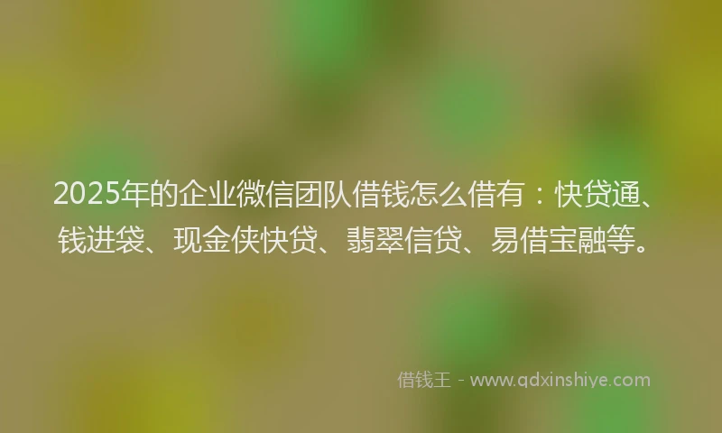 2025年的企业微信团队借钱怎么借有：快贷通、钱进袋、现金侠快贷、翡翠信贷、易借宝融等。