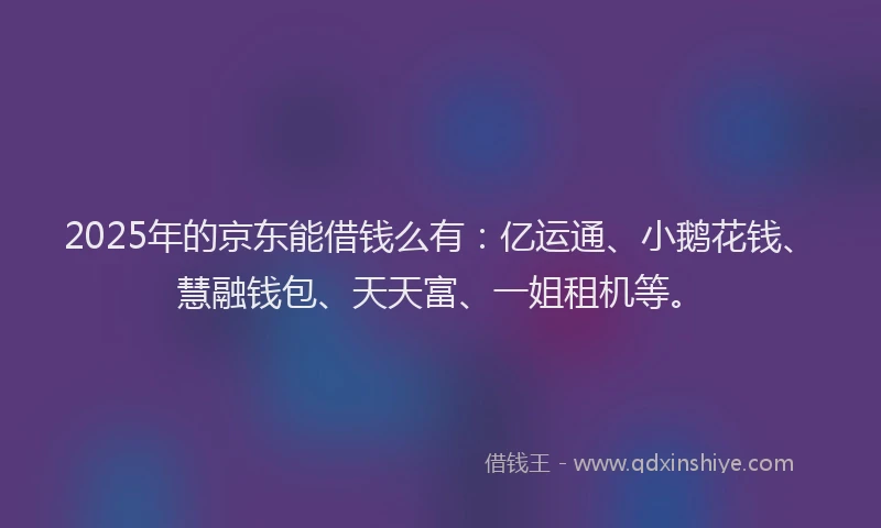 2025年的京东能借钱么有：亿运通、小鹅花钱、慧融钱包、天天富、一姐租机等。