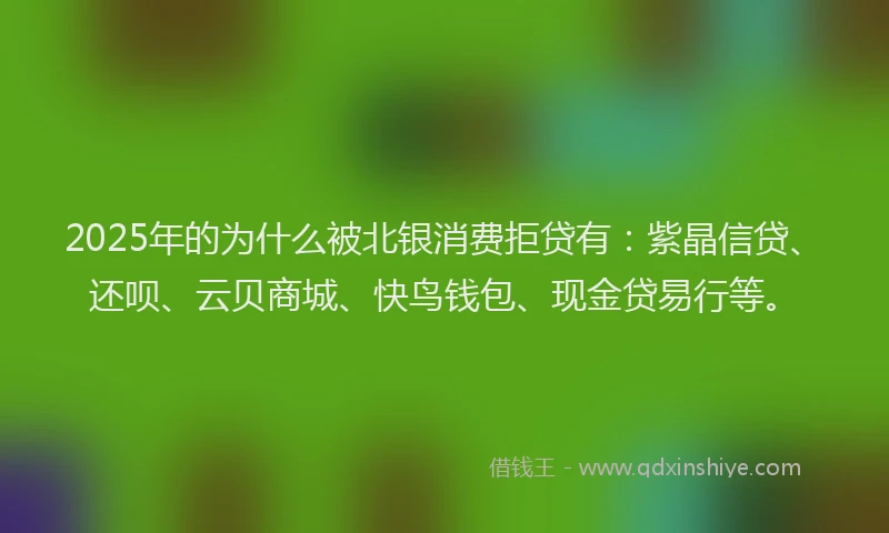 2025年的为什么被北银消费拒贷有：紫晶信贷、还呗、云贝商城、快鸟钱包、现金贷易行等。