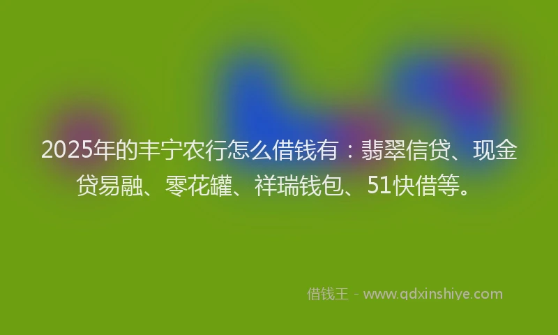 2025年的丰宁农行怎么借钱有：翡翠信贷、现金贷易融、零花罐、祥瑞钱包、51快借等。