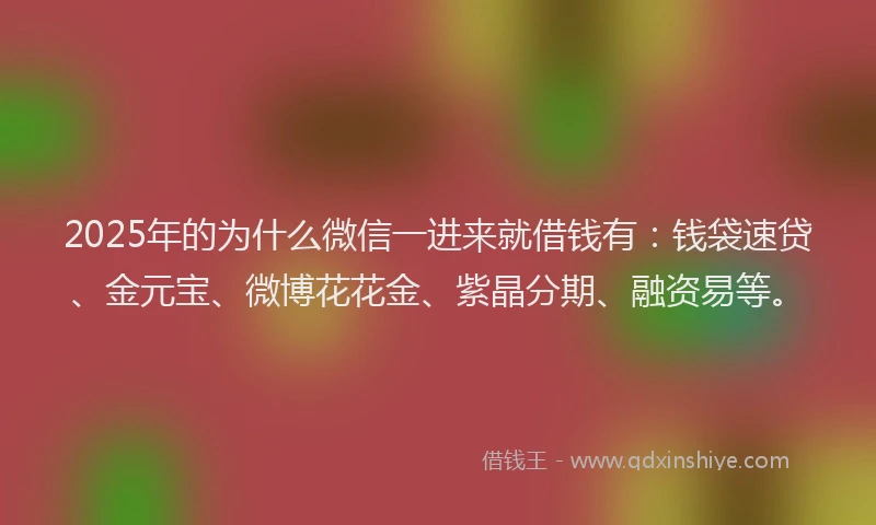 2025年的为什么微信一进来就借钱有：钱袋速贷、金元宝、微博花花金、紫晶分期、融资易等。