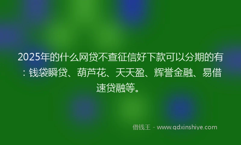 2025年的什么网贷不查征信好下款可以分期的有：钱袋瞬贷、葫芦花、天天盈、辉誉金融、易借速贷融等。
