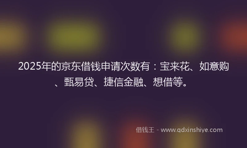 2025年的京东借钱申请次数有：宝来花、如意购、甄易贷、捷信金融、想借等。