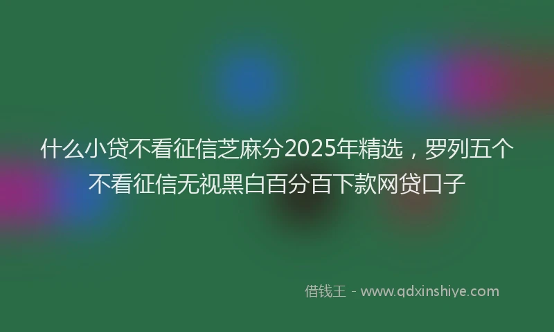 什么小贷不看征信芝麻分2025年精选，罗列五个不看征信无视黑白百分百下款网贷口子