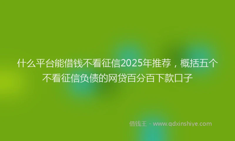 什么平台能借钱不看征信2025年推荐，概括五个不看征信负债的网贷百分百下款口子
