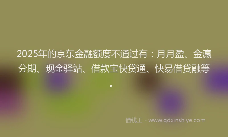 2025年的京东金融额度不通过有：月月盈、金瀛分期、现金驿站、借款宝快贷通、快易借贷融等。